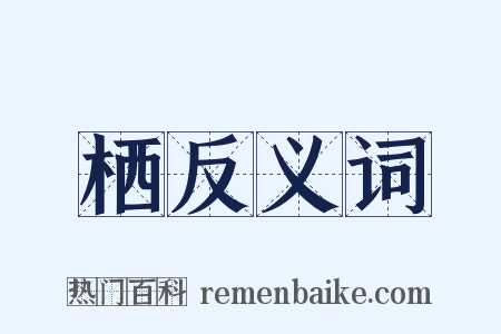 栖反义词是什么意思的图片